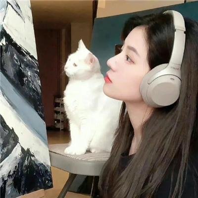 狐狸王子